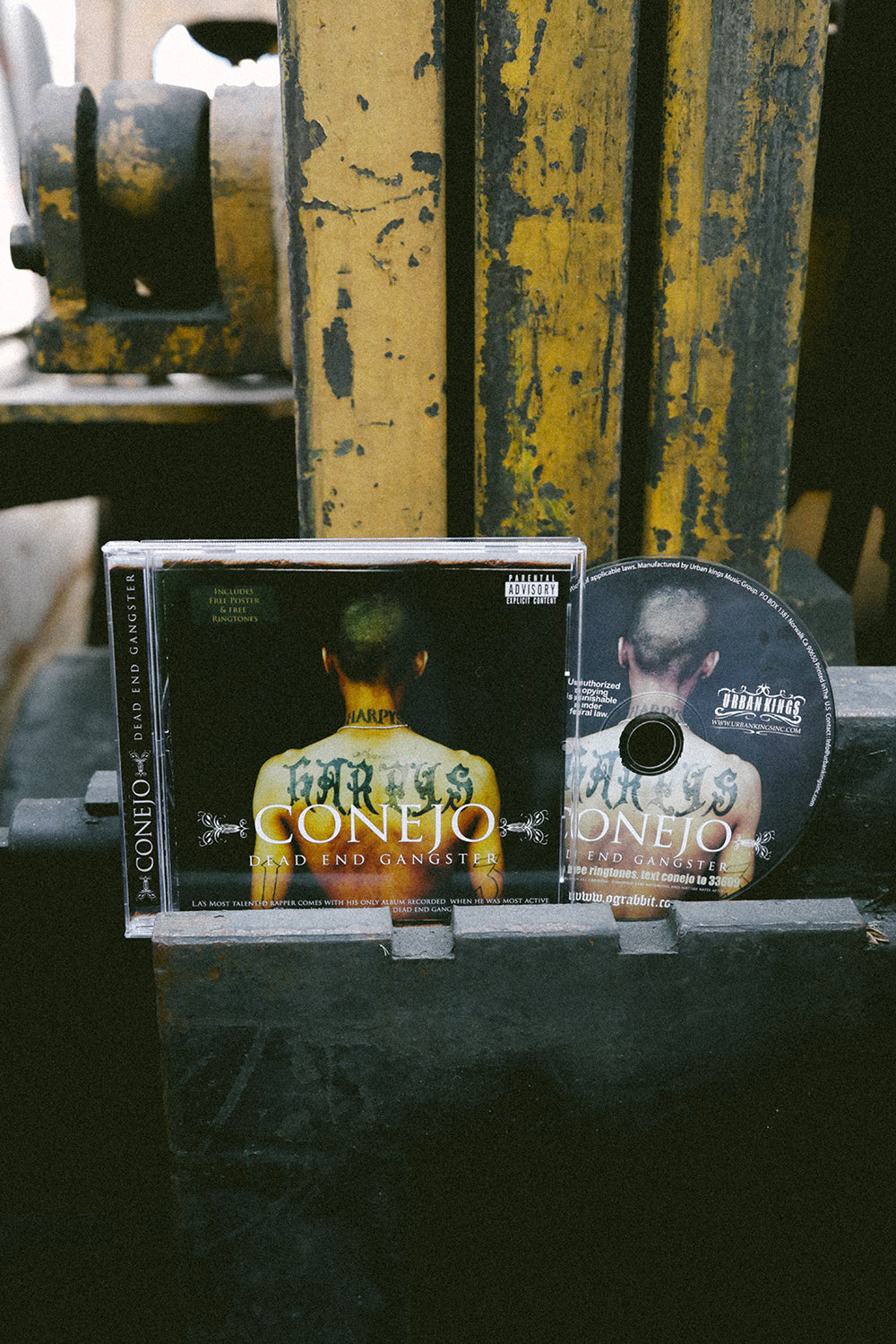 Dead end Gangster- conejo
